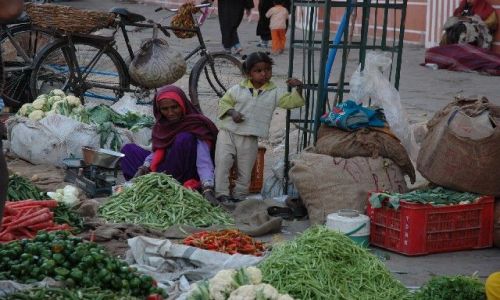 Zdjecie INDIE / brak / Jaipur  / Targ