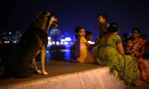 Zdjecie INDIE / brak / BOMBAY / BOMBAY