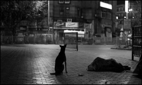 Zdjęcie INDIE / brak / BOMBAY / BOMBAY