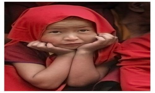 Zdjecie INDIE / Ladakh / Hemis / Mniszek
