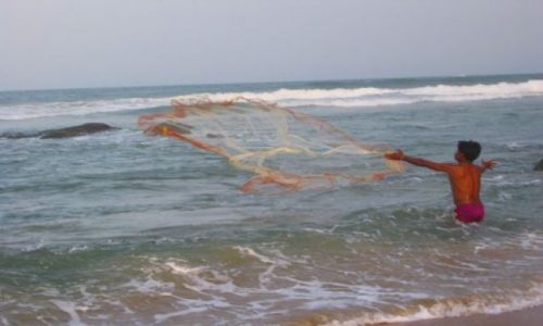 Zdjęcie INDIE / Tamil Nadu / niedaleko Chennai / polowy