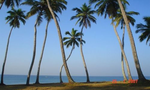 Zdjęcie INDIE / Kerala / Warkala  / INDYJSKIE PLAŻE