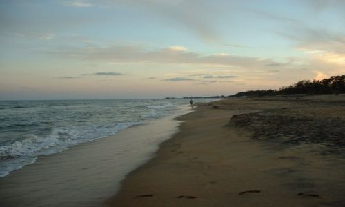 Zdjecie INDIE / Tamilnadu / plaża w okolicach Majabalipuram / plaża o zmierzchu
