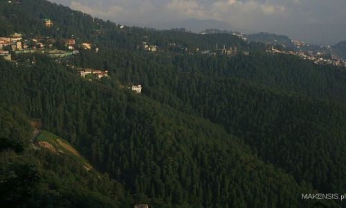 Zdjęcie INDIE / Dehra Dun to Leh / Shimla / Shimla