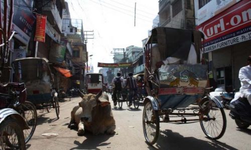 Zdjecie INDIE / brak / varanasi / trawienie