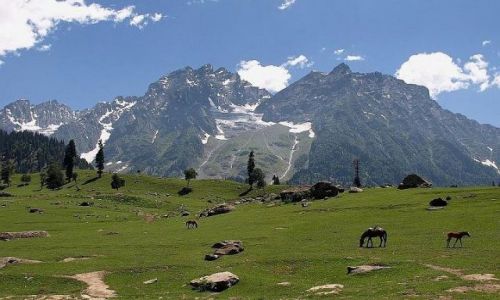 Zdjecie INDIE / Himalaje / Himalaje / Sielska Dolina