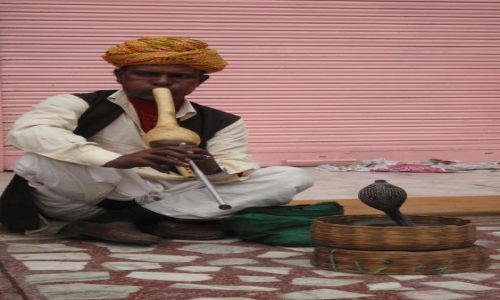 Zdjecie INDIE / brak / Jaipur / zaklinacz wy