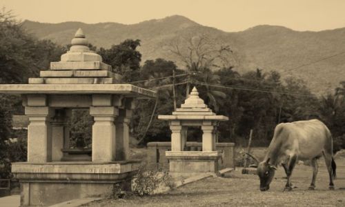 Zdjecie INDIE / Goa / Cabo Da Rama / w zaciszu swiatyni