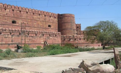 Zdjęcie INDIE / Uttar Pradesh / Agra / Fort 2