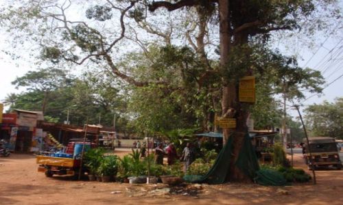 Zdjecie INDIE / Kerala / Varkala / town