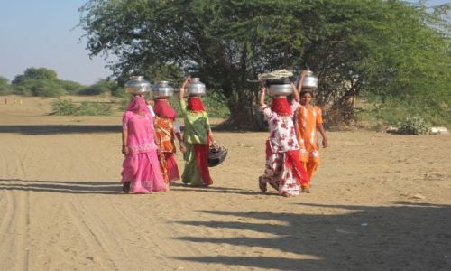 Zdjęcie INDIE / brak / pustynie w Radziestanie / indie styczen 2010