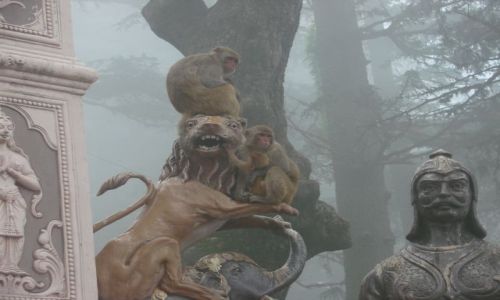 Zdjęcie INDIE / Simla / Simla / Mgła  nad  małupim rajem