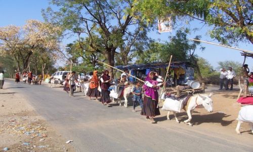 Zdjecie INDIE / Gujarat / w drodze midzy Mehsan a Ahmadabadem / Koczownicze plemi Rabari