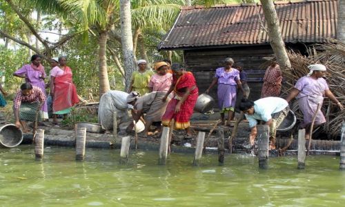 Zdjęcie INDIE / -Kerala / kanały między Kochin a Alapuzzha / lokalna ludność pracująca przy pogłębianiu kanału