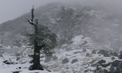 Zdjęcie INDIE / Sikkim / Gangtok / Przedwiośnie w Himalajach
