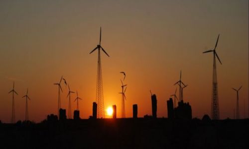 Zdjcie INDIE /  Przy granicy z Pakistanem / Chyba Jaisalmer / Niebespieczne tereny