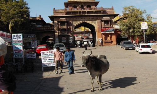 INDIE / Rajasthan / Jodhpur / Sadar Market