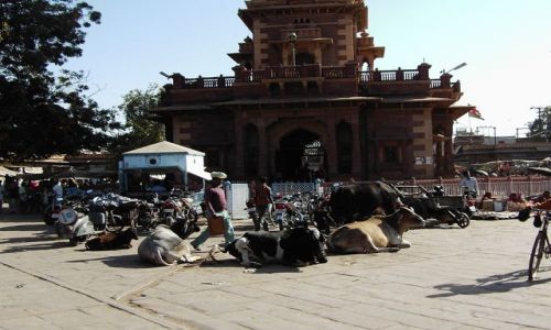 INDIE / Rajasthan / Jodhpur / Sadar Market