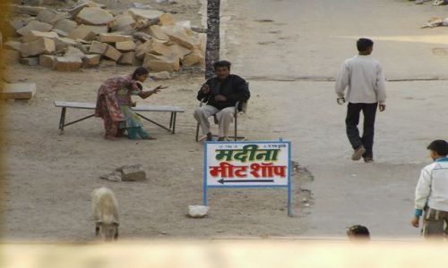 INDIE / Rajasthan / Jaisalmer - pustynia Thar / wita winka...:-)???