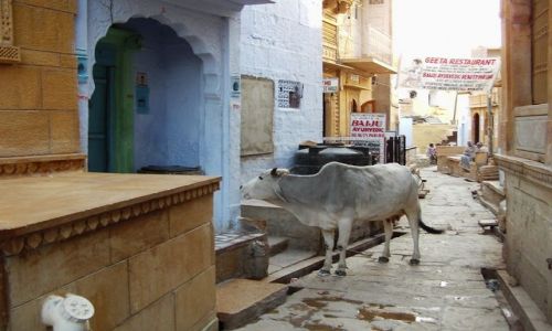INDIE / Rajasthan / Jaisalmer - pustynia Thar / bajkowy fort - i jego mieszkacy