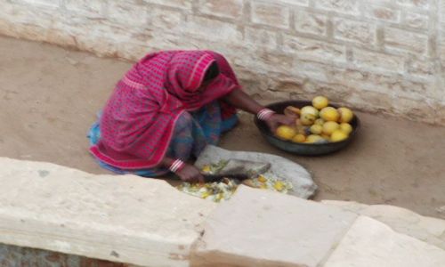 INDIE / Rajasthan / Jaisalmer - pustynia Thar / o poranku