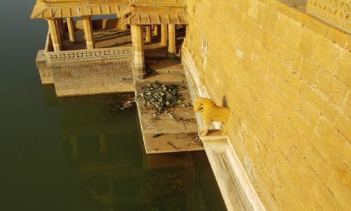 INDIE / Rajasthan / Jaisalmer - pustynia Thar / opuszczone paace