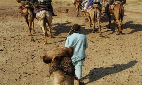 INDIE / Rajasthan / Jaisalmer - pustynia Thar / w drodze...