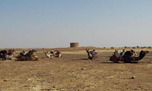 INDIE / Rajasthan / Jaisalmer - pustynia Thar / w drodze...