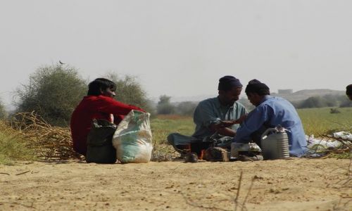 INDIE / Rajasthan / Jaisalmer - pustynia Thar / ludzie pustyni, przewodnicy