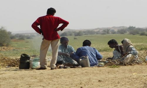 INDIE / Rajasthan / Jaisalmer - pustynia Thar / ycie na pustyni, kuchnia polowa