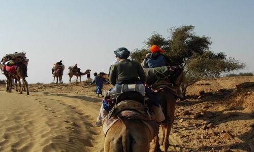 INDIE / Rajasthan / Jaisalmer - pustynia Thar / karawana