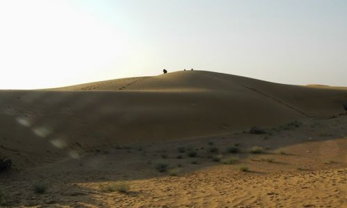 INDIE / Rajasthan / Jaisalmer - pustynia Thar / piaskownica