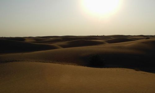 INDIE / Rajasthan / Jaisalmer - pustynia Thar / zachd soca