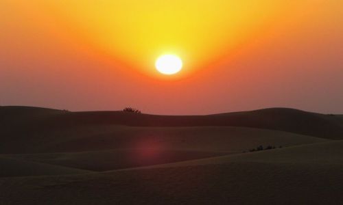 INDIE / Rajasthan / Jaisalmer - pustynia Thar / zachd soca