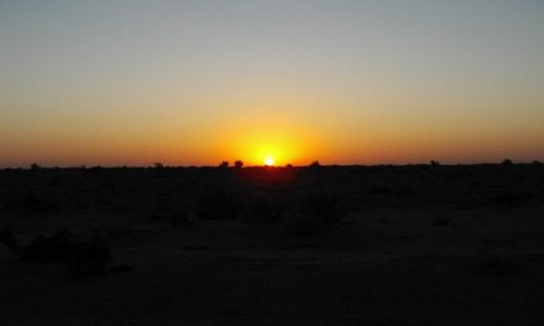INDIE / Rajasthan / Jaisalmer - pustynia Thar / wschd soca na pustyni Thar