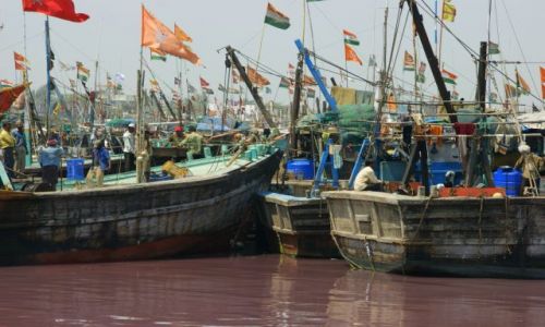 Zdjcie INDIE / Veraval / Veraval / Port we  krwi