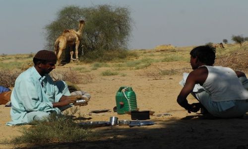 INDIE / Rajasthan / Jaisalmer - pustynia Thar / mycie garw..:-)