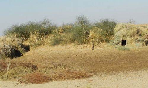 INDIE / Rajasthan / Jaisalmer - pustynia Thar / pustynne chatki