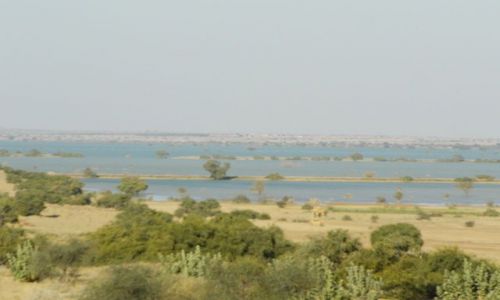 INDIE / Rajasthan / Jaisalmer - pustynia Thar / jezioro na pustynii?