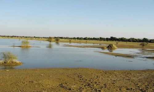INDIE / Rajasthan / Jaisalmer - pustynia Thar / nad brzegiem...