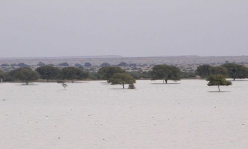 INDIE / Rajasthan / Jaisalmer - pustynia Thar / nad jeziorem