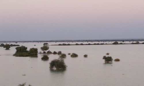 INDIE / Rajasthan / Jaisalmer - pustynia Thar / nad jeziorem