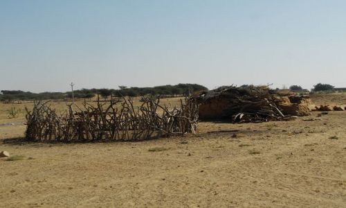 Zdjecie INDIE / Rajasthan / Jaisalmer - pustynia Thar / pustynne zabudowania