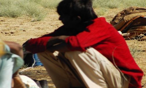 INDIE / Rajasthan / Jaisalmer - pustynia Thar / zamylony...