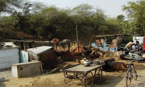 INDIE / Rajasthan / Jodhpur - Jaipur / w drodze do Jaipur