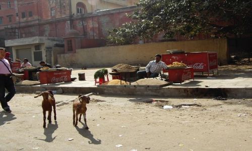 INDIE / Rajasthan / Jaipur / uliczni sprzedawcy
