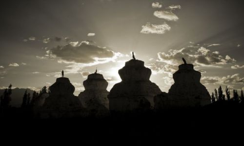 Zdjecie INDIE / Ladakh / Thiksey / Czorteny