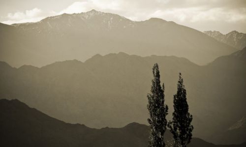 Zdjęcie INDIE / Ladakh / okolice Choglamsar / Dolina Indusu