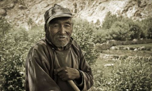 Zdjecie INDIE / Ladakh / Sakti / Stary pasterz