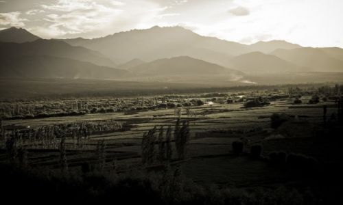 Zdjecie INDIE / Ladakh / Thiksey / Thiksey
